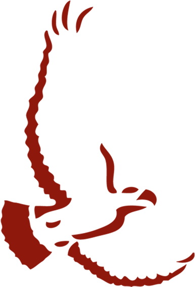 Red Hawk Golf & Resort Best Golf Course In Reno And - Red Hawk Golf & Resort Best Golf Course In Reno And (399x585)