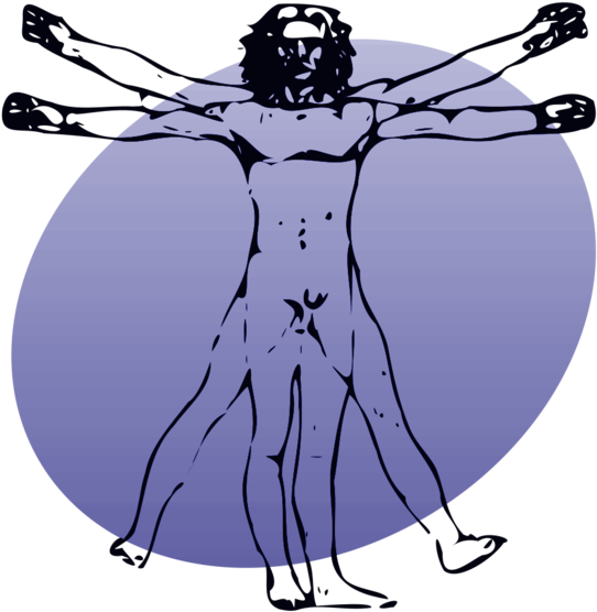 Several Studies Have Reported - Several Studies Have Reported (590x599)