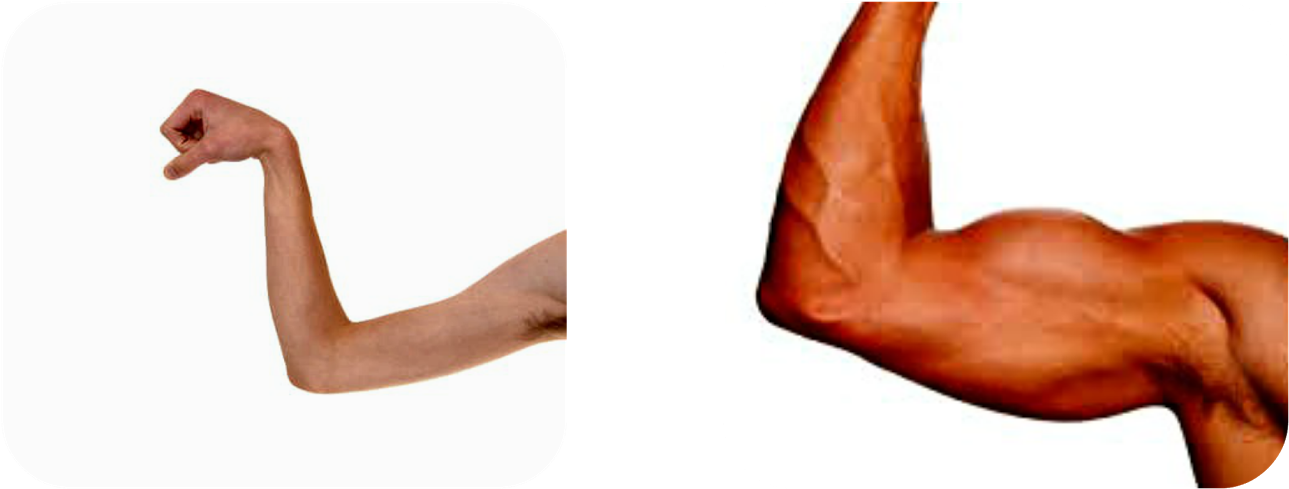 Elbow Clipart Stong - Elbow Clipart Stong (1600x800)