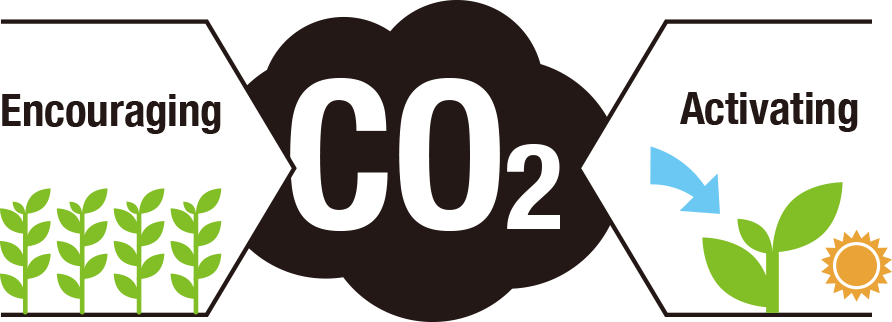 Brewing Yeast Cell Wall Can Contribute To The Reduction - Brewing Yeast Cell Wall Can Contribute To The Reduction (892x322)