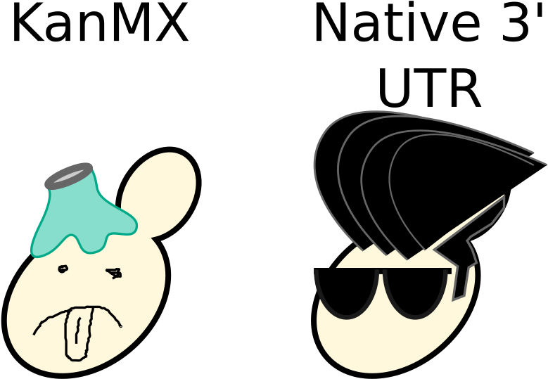 This Manor Of Strain Construction Solved The Reduced - This Manor Of Strain Construction Solved The Reduced (900x600)