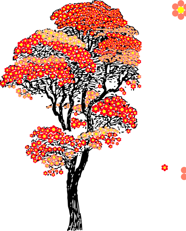 All Photo Png Clipart - All Photo Png Clipart (606x750)