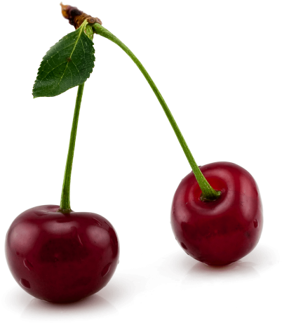 Download Cherrys Clipart Png Photo - Download Cherrys Clipart Png Photo (480x480)