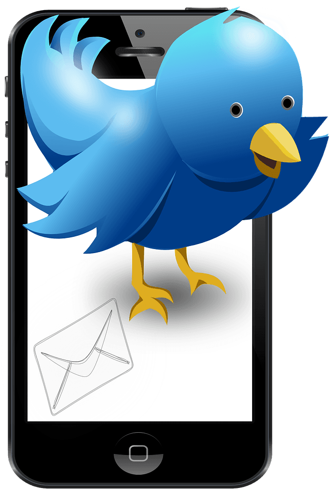 By Jenna Bishop, - By Jenna Bishop, (905x1280)