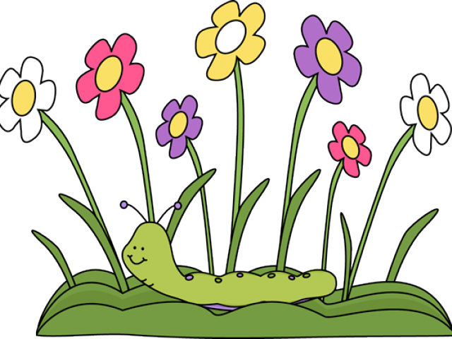 Free Spring Clipart - Free Spring Clipart (640x480)