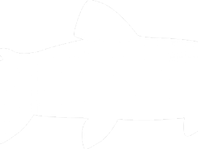 Trout Clipart Silhouette - Trout Clipart Silhouette (640x480)