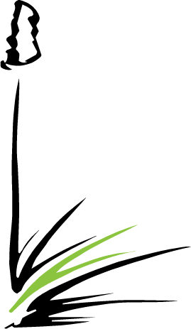Why Build Green - Why Build Green (269x463)