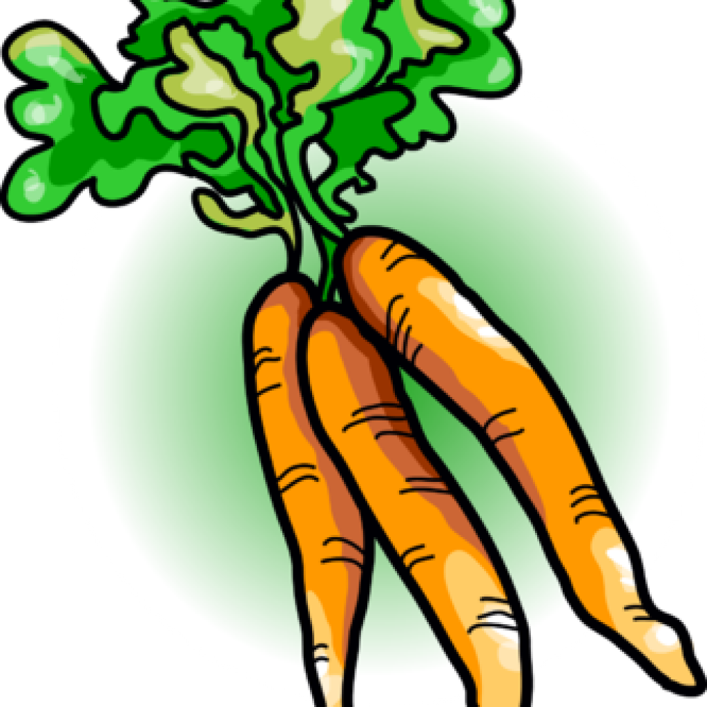 Carrot Clipart Free Carrot Clipart Image Carrots Food - Carrot Clipart Free Carrot Clipart Image Carrots Food (1024x1024)