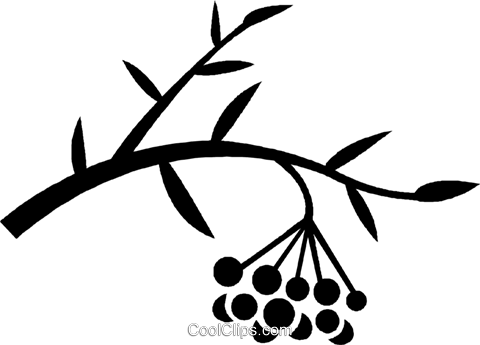 Wild Berries Royalty Free Vector Clip Art Illustration - Wild Berries Royalty Free Vector Clip Art Illustration (480x345)