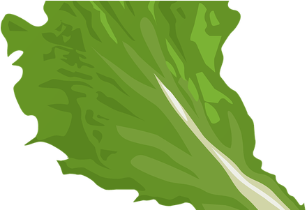 Picture Library Library Broccoli Clipart Repolyo - Picture Library Library Broccoli Clipart Repolyo (450x300)