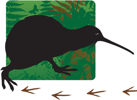 'follow A Kiwi' Family Sponsorship - 'follow A Kiwi' Family Sponsorship (450x451)