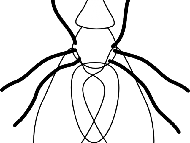 Flying Clipart Black And White - Flying Clipart Black And White (640x480)