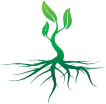 Roots Colour Illustration - Roots Colour Illustration (400x400)