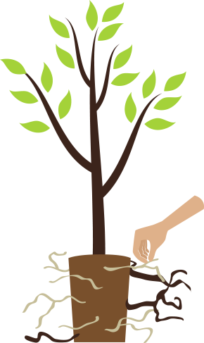 Step3 Container Loosenroots - Step3 Container Loosenroots (290x487)