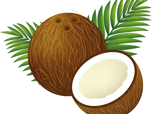 Coconut Clipart Clip Art - Coconut Clipart Clip Art (640x480)