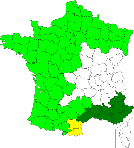 Ias Allergies The Forecast - Ias Allergies The Forecast (560x617)