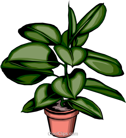 Potted Plant Clipart - Potted Plant Clipart (438x480)