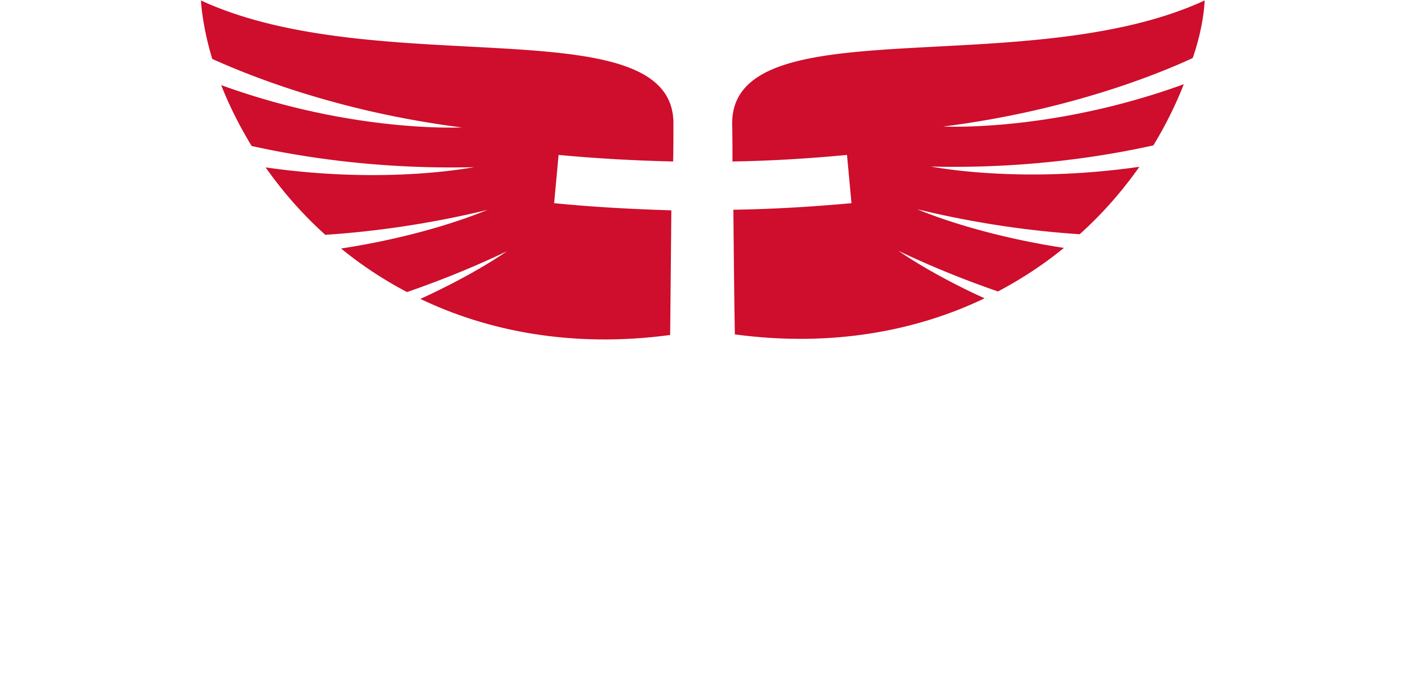 Victory Orthotics & Prosthetics - Victory Orthotics & Prosthetics (3000x1500)
