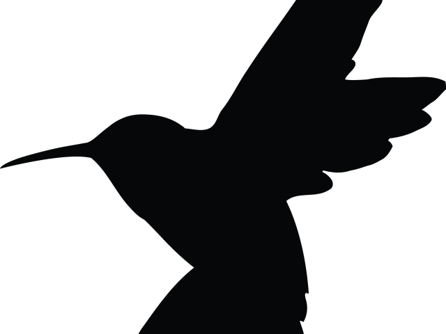 Hummingbird Clipart Nectar - Hummingbird Clipart Nectar (640x480)