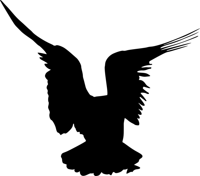 Free Png Bird Silhouette Png - Free Png Bird Silhouette Png (850x749)