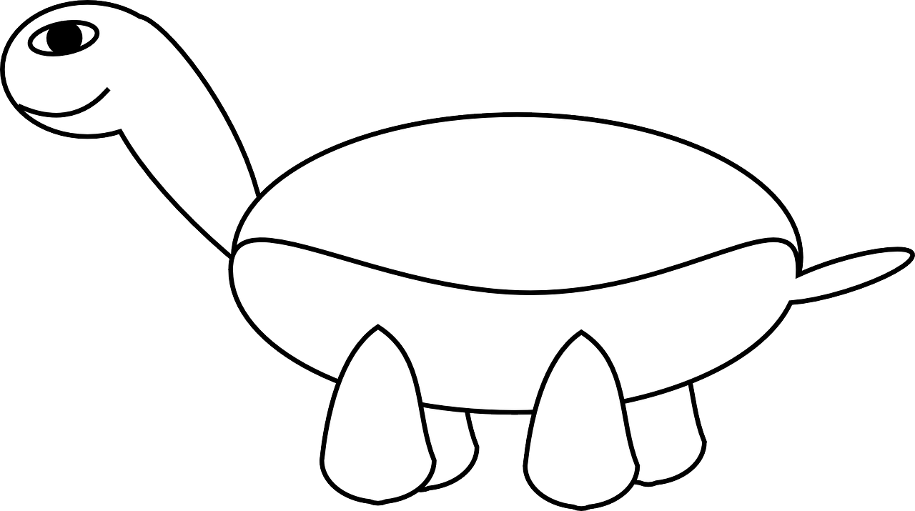 Tortoise Turtle Smiling - Tortoise Turtle Smiling (1280x715)