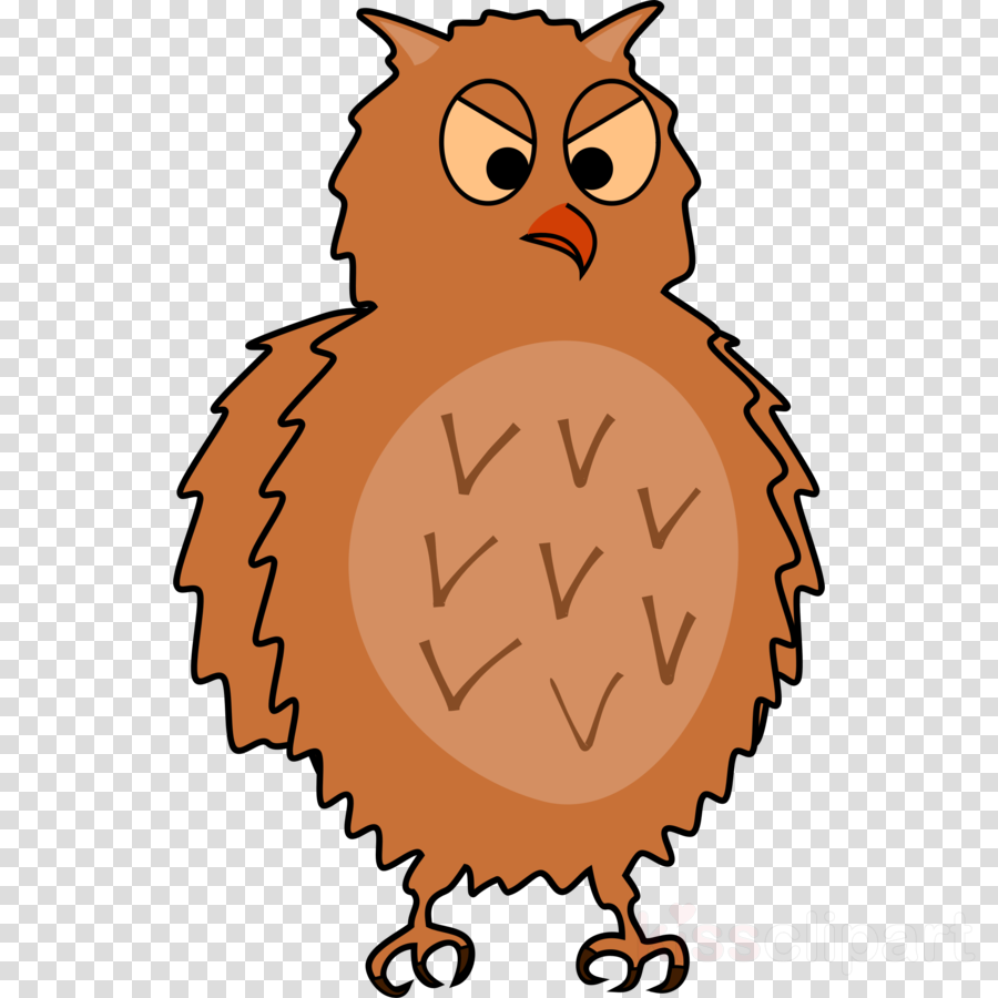 Enraged Owl Front View, Spread Wings Clipart Owl Bird - Enraged Owl Front View, Spread Wings Clipart Owl Bird (900x900)