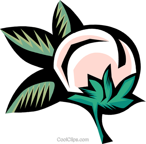 Happy Birthday Pumpkin Clipart 4274 - Happy Birthday Pumpkin Clipart 4274 (480x475)