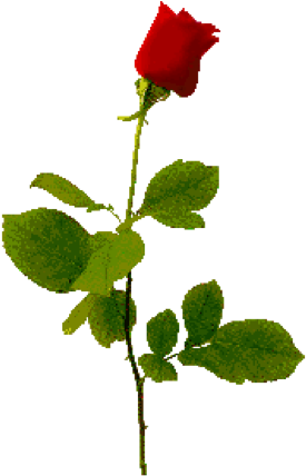 Our Guest Today Is Sa Garcia Amber Kell's Blog - Our Guest Today Is Sa Garcia Amber Kell's Blog (294x427)