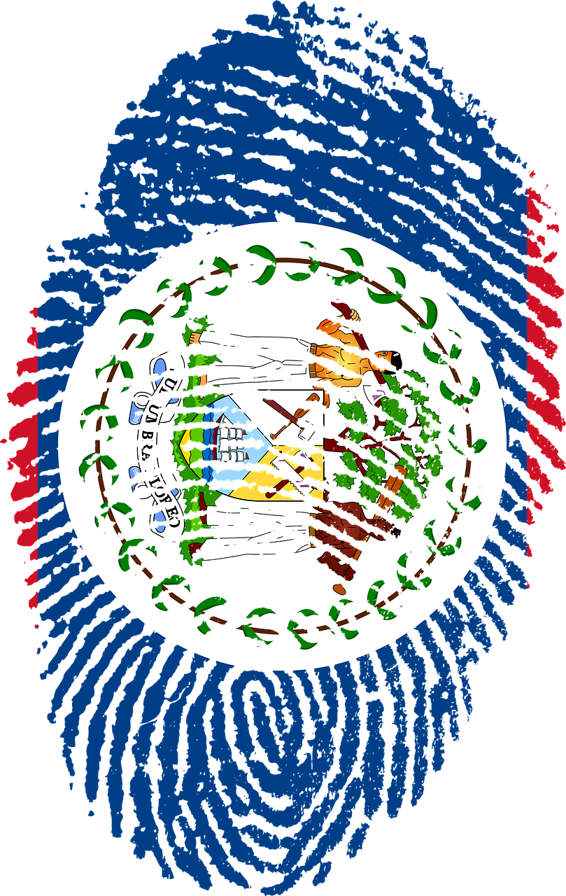 Belize Flag Fingerprint - Belize Flag Fingerprint (809x1280)