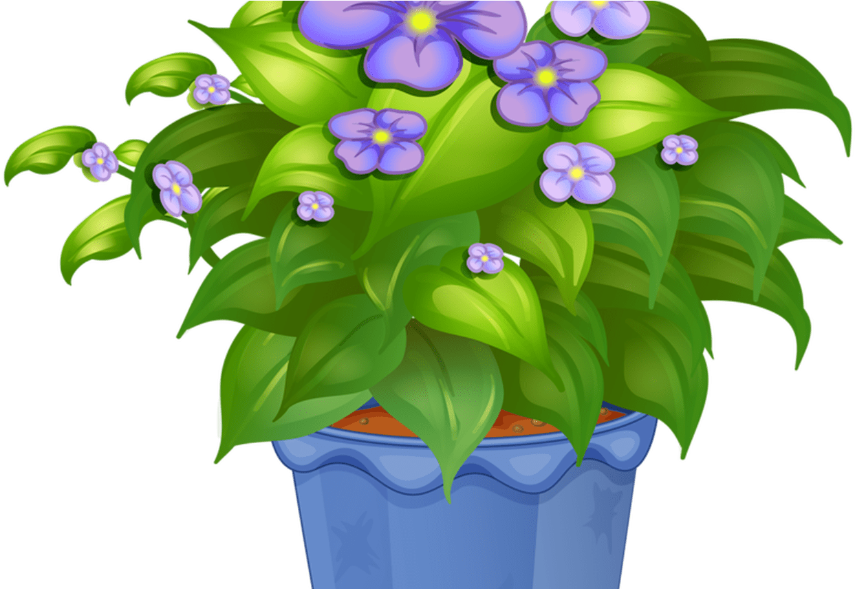 Pin By Unloveable Tum** On Garden Pinterest Flower, - Pin By Unloveable Tum** On Garden Pinterest Flower, (1368x855)