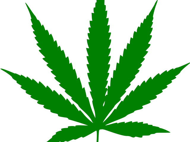 Potted Plants Clipart Leave Clipart - Potted Plants Clipart Leave Clipart (640x480)