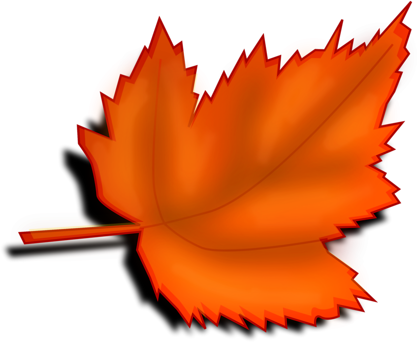 Free Fall Borders - Leaves Clipart Transparent Background (958x748)