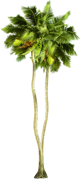 Clip Art, Tropical, Aqua, Water, Illustrations - .net (364x800)