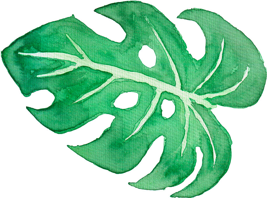 Tropical Leaves On Behance - Tropical Leaves Watercolor Png (1200x1200)