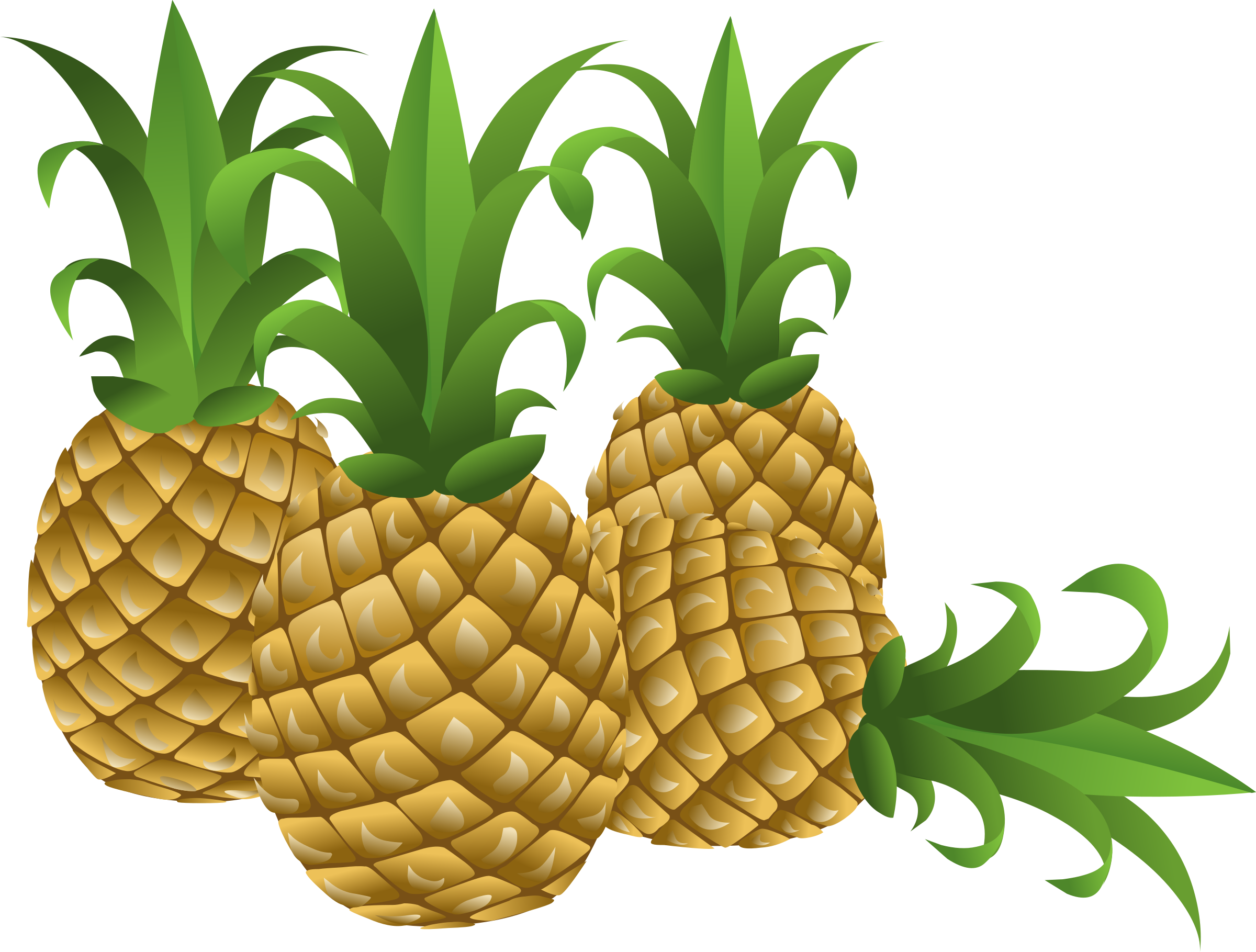 Food Pineapple - 5'x7'area Rug (2400x1819)