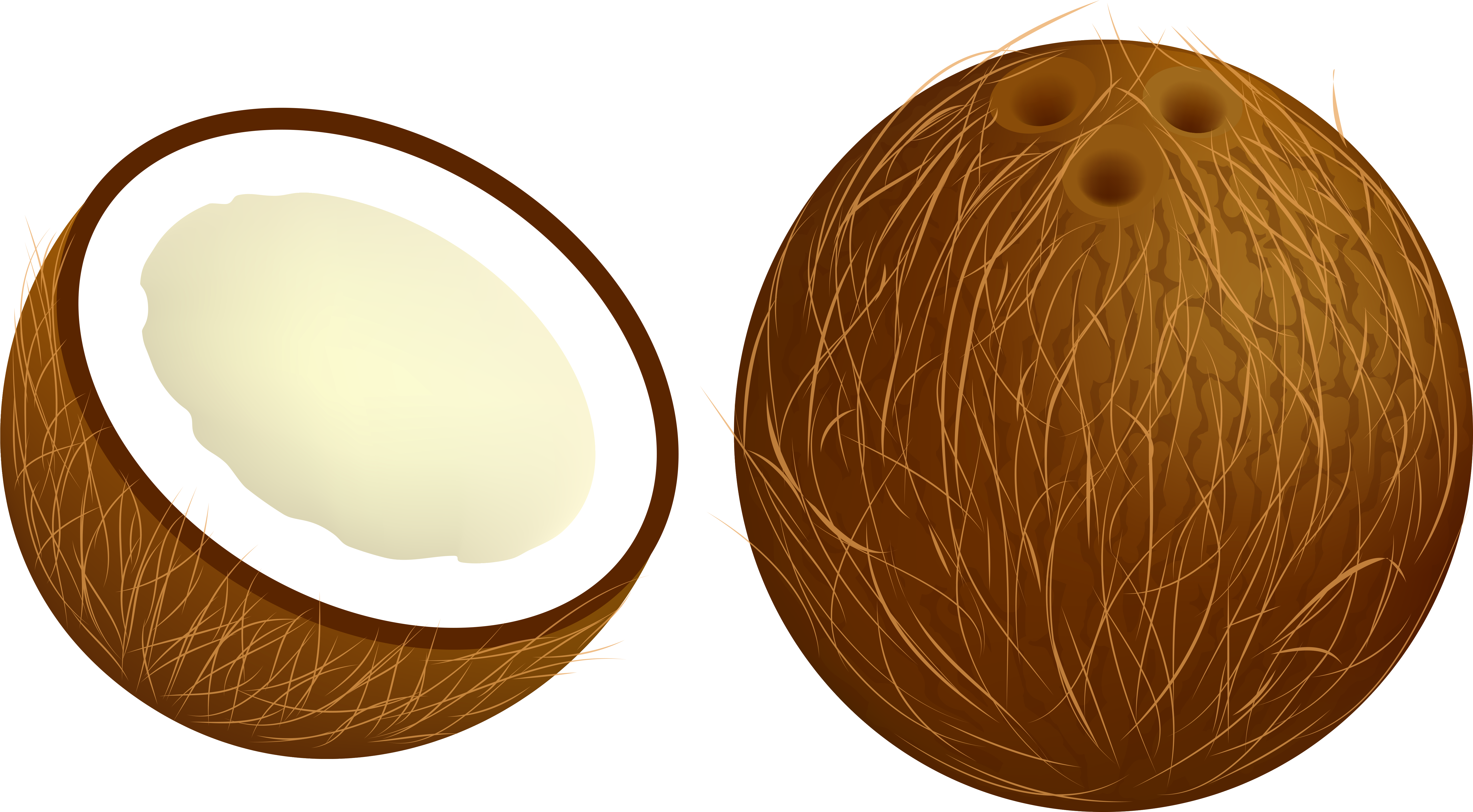 Coconut Png Vector Clipart Image - Coconut Clipart Png (6162x3455)