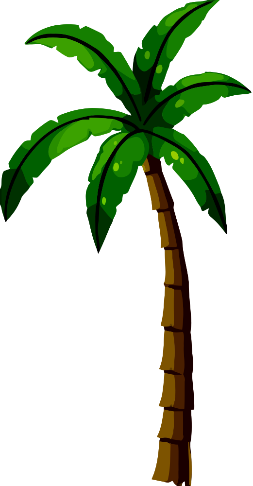 Plant - Palm Tree Clip Art (521x1000)