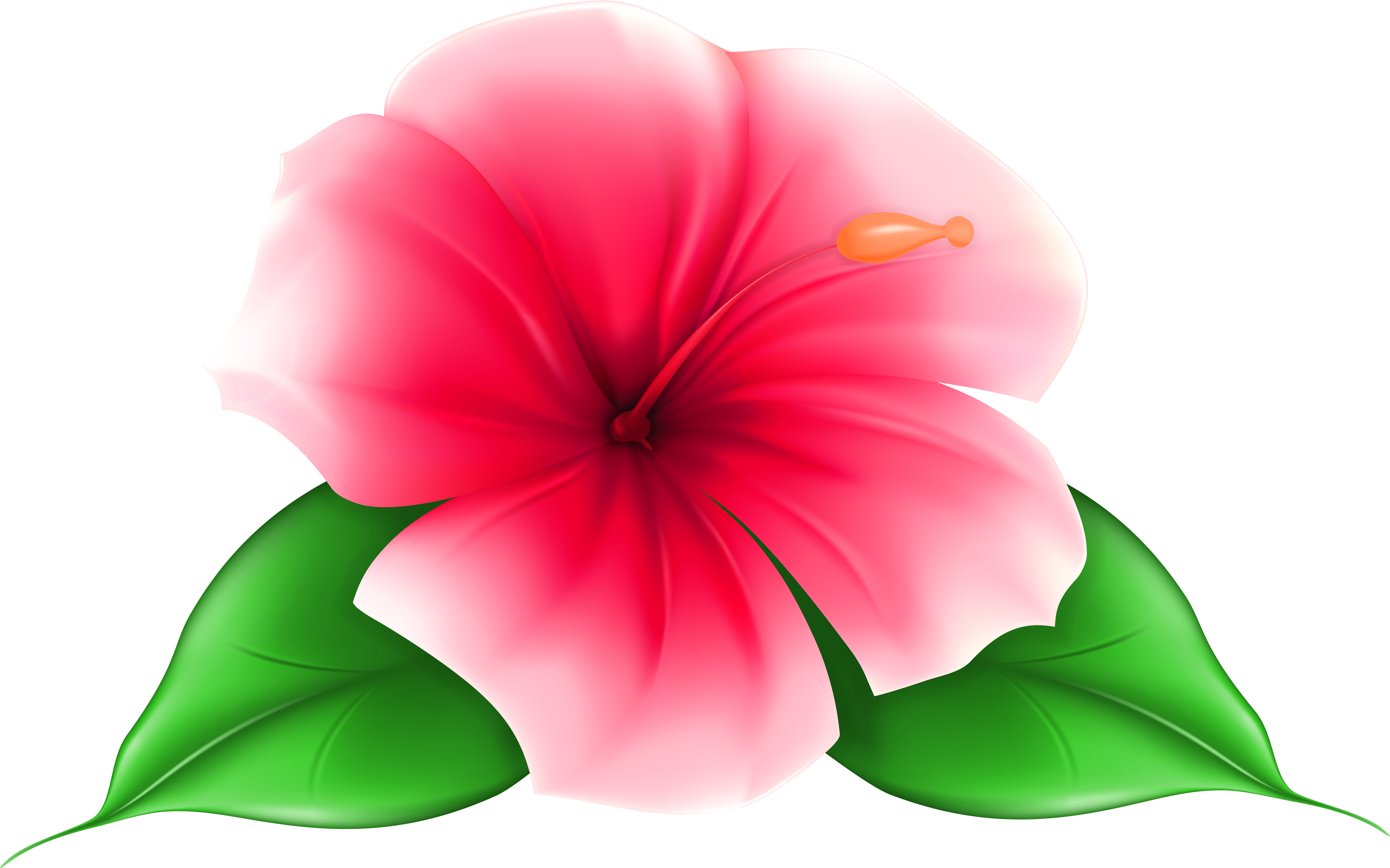 Exotic Flower Png Clip Art Image - Tropical Flowers With Transparent Background (7000x4371)