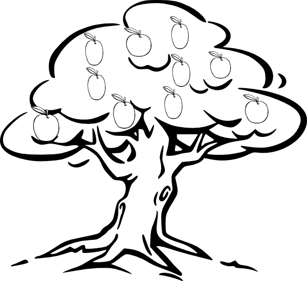 Mango Tree Clipart Black And White - Outline Of A Tree (600x548)