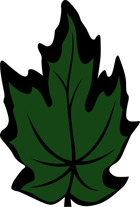 Leaf Clipart - Leaf (542x800)