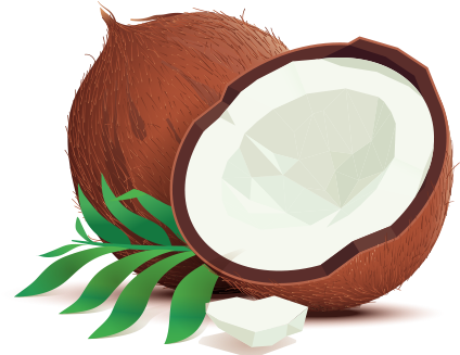 Illustration Of An Organic Coconut Freshly Cut In Half - Coconut Vector (712x430)