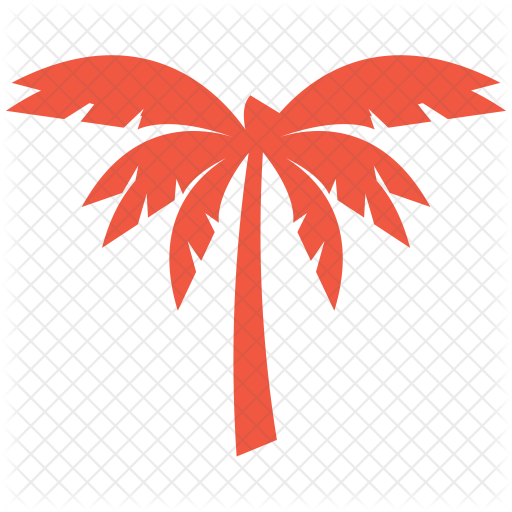 Coconut Tree Icon - Coconut Tree Icon Png (512x512)