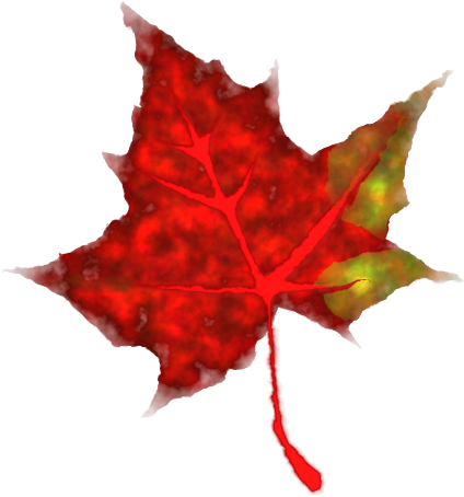 Fall Clip Art Download - Small Pics Of Leaves (800x720)