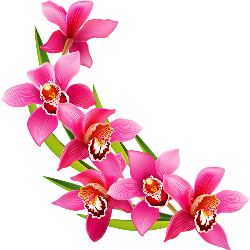 Flower Clipartflower Treeclip - Flower Clipart (799x800)