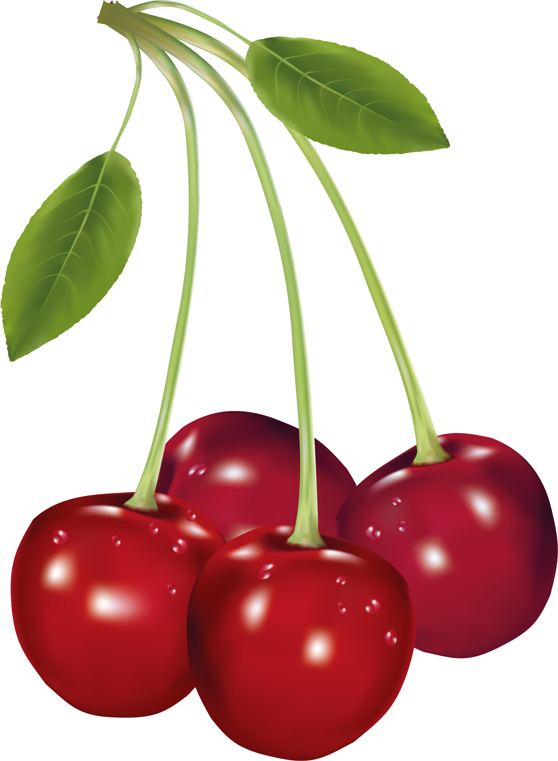 Food Clipart, Fruit Clipart, Birthday Clipart, Vegetables, - Clip Art Of Cherries (1916x2592)
