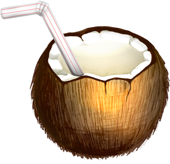 Coconut Clip Art Wallpapers - Clip Art Black And White Of Coconut (600x575)