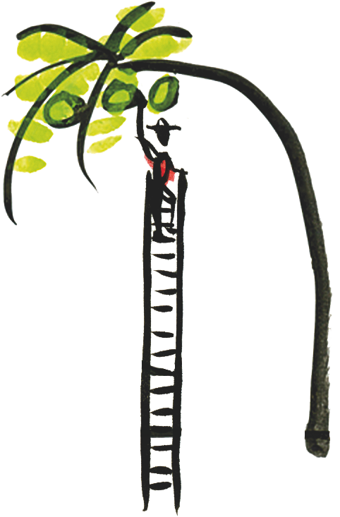 Invo Coconut Water (553x758)