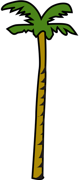 Coconut Palm Plant Tree - Coconut Clip Art (360x720)