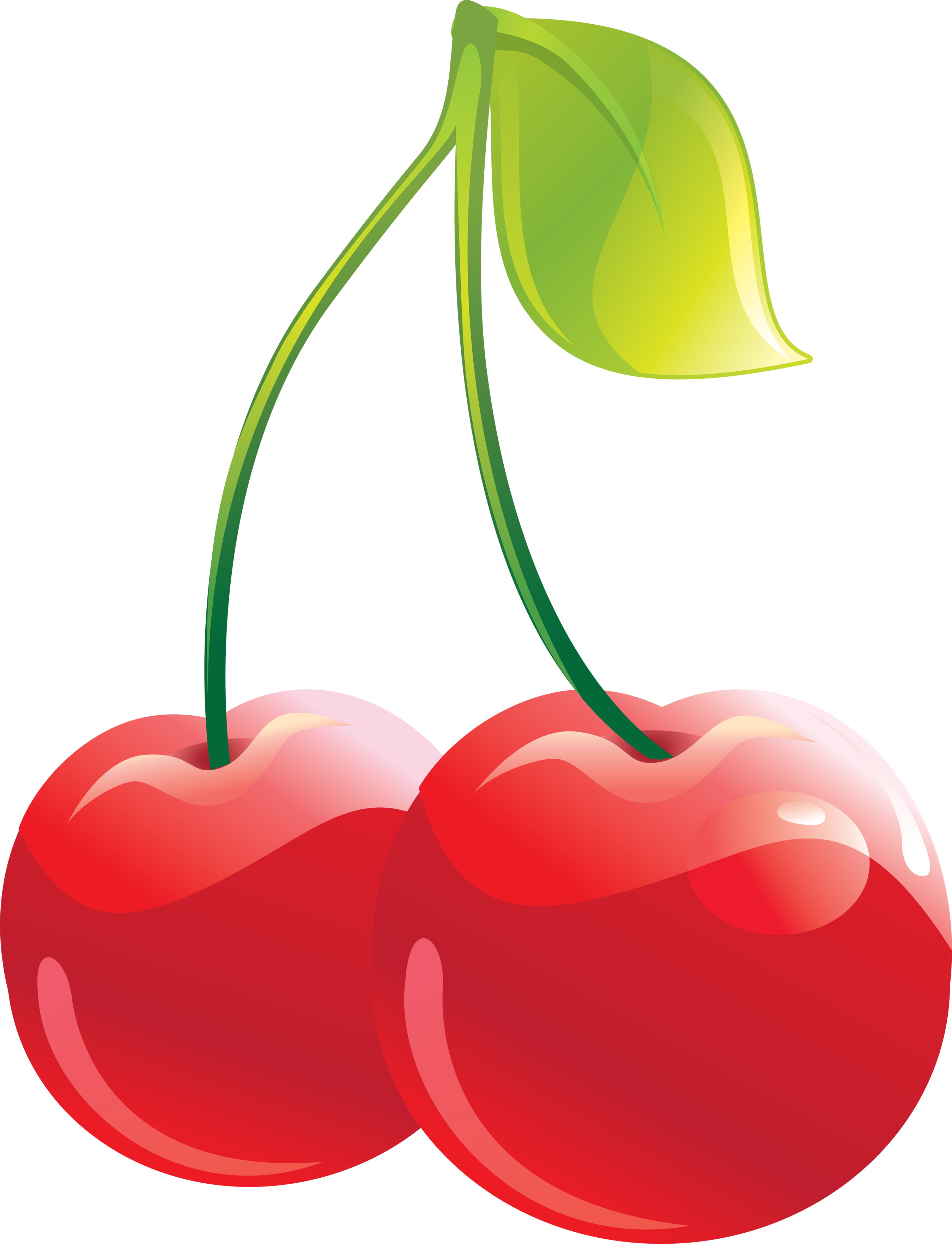 Cherry Clipart Free Wedding - Cherries Clip Art Free (2699x3527)