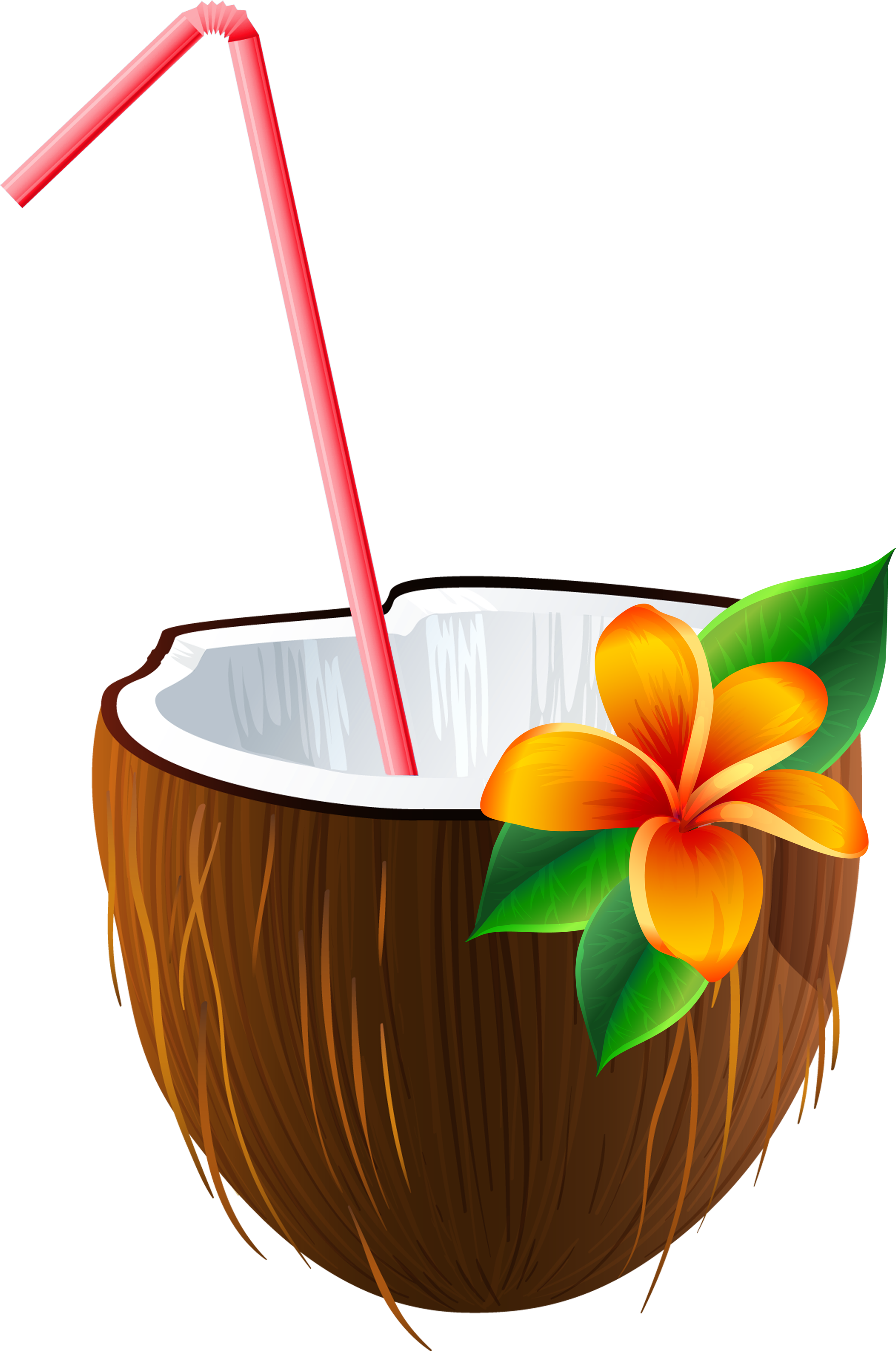 Exotic Coconut Cocktail Png Clipart Image - Coconut Cocktail Png (2322x3381)